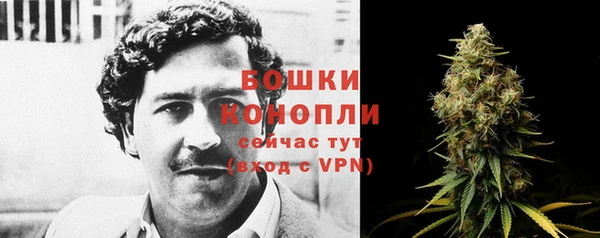 ешки Липки
