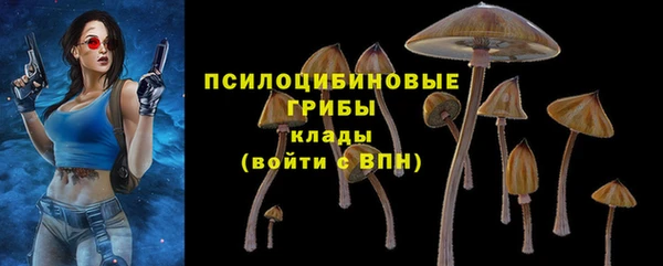 крисы Лиски